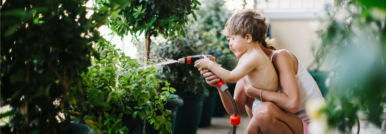 Watering plants